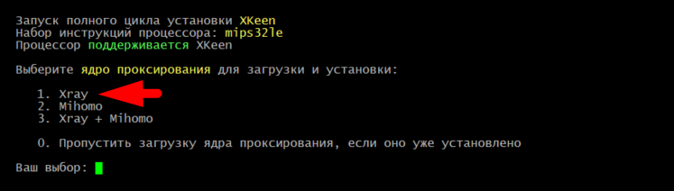 Выбор ядра Xray